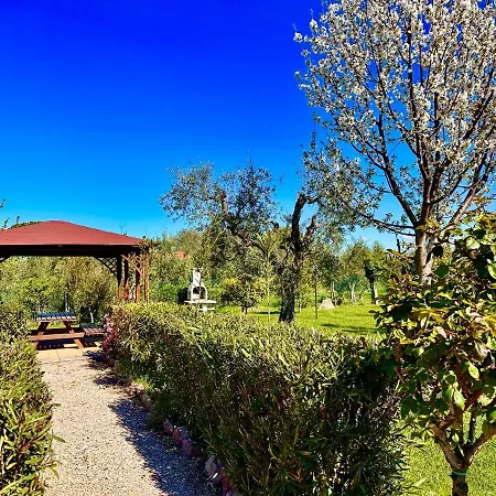 Re Di Fiori Donoratico