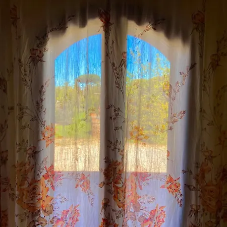 Re Di Fiori 多诺然蒂克